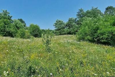 Teren de 5500 mp, în Urseiu
