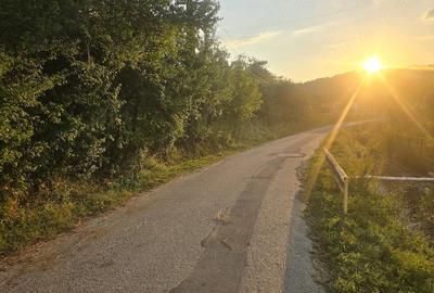 Teren de 2600 mp, în Mihăești