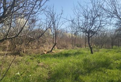 Casă cu 4 camere în Albota - 15
