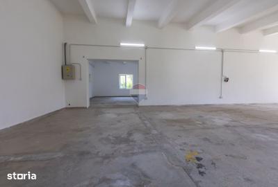 Spațiu comercial, de 310 mp, în Coman