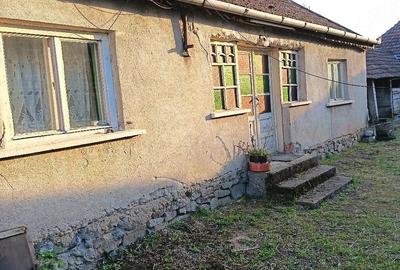 Casă cu Teren 6345 Mp în Săldăbagiu de Barcău - 1
