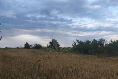 Teren în Păulești