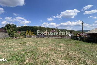 Teren de 4000 mp, în Aninoasa