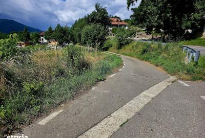 Teren de 600 mp, în Alexandru cel Bun
