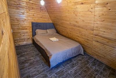 Casă cu 4 camere cu Teren 4000 Mp în Uleni