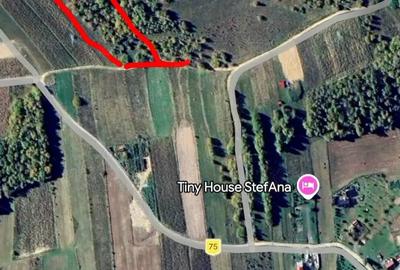 Teren de 3900 mp, în Feleacu