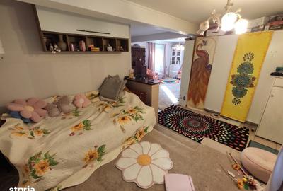 Casă cu 4 camere în Balta Neagră - 1