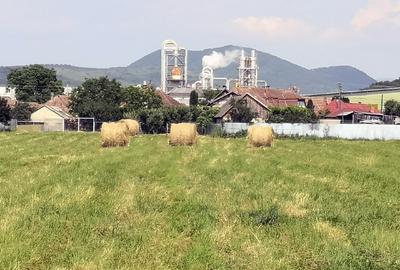 Casă individuală cu 2 camere cu Teren 11000 Mp în Ierbuș - 4