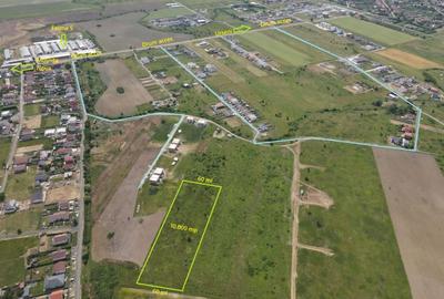 Teren Construcții intravilan de 10000 mp, în Moșnița Nouă - 3