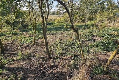 Teren de 840 mp, în Comoara