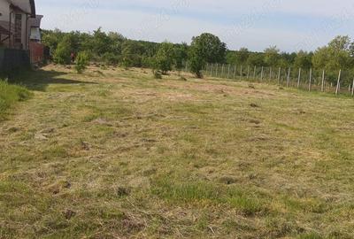 Teren de 550 mp, în Tăuții-Măgherăuș - 4