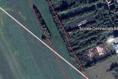 Casă cu Teren 12000 Mp în Chitila