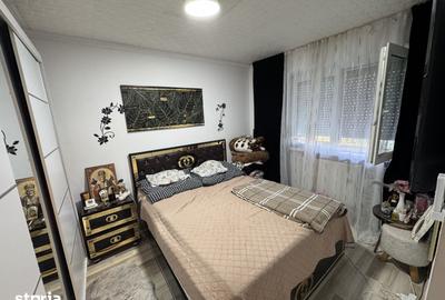 Apartament cu 2 camere semidecomandat în Botizului