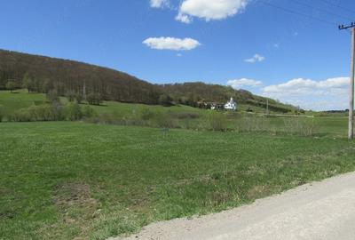 Teren de 4300 mp, în Valea Mare