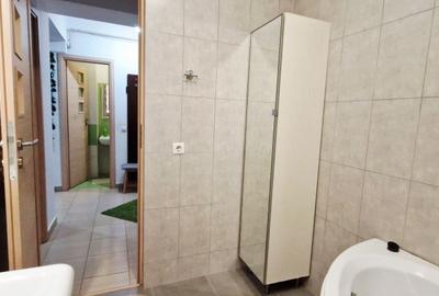 Apartament cu 2 camere decomandat, mobilat în Valea Ialomiței - 11