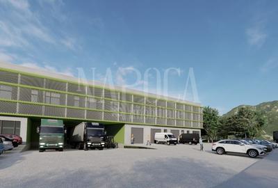 Teren Construcții intravilan de 9900 mp, în Sânnicoară - 4