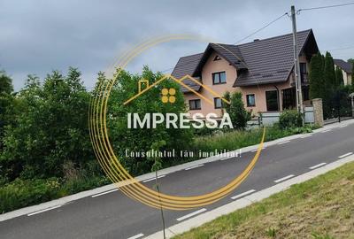 Spațiu comercial, în Ipotești - 2