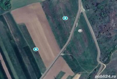 Teren de 9200 mp, în Satu Mare - 1
