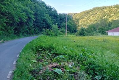 Casă cu 5 camere cu Teren 1200 Mp în Boz - 2