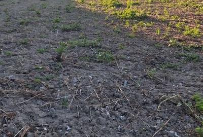 Teren de 577 mp, în Smârdan