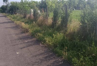 Teren de 1000 mp, în Măicănești