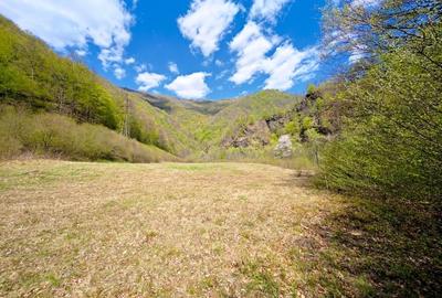 Teren intravilan de 9191 mp, în Agârbiciu - 3