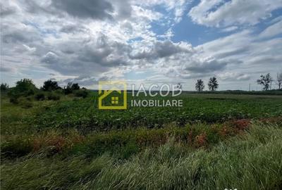 Teren de 8333 mp, în Secu - 6