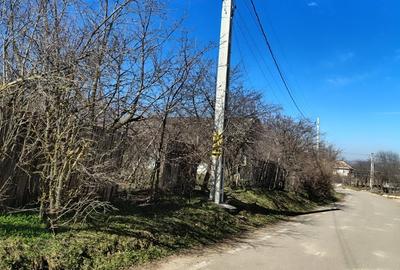 Teren de 2364 mp, în Brăhășești - 6