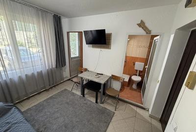 Garsonieră decomandată în Complex Studențesc