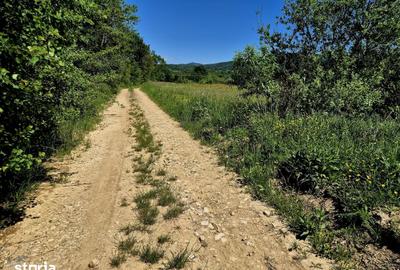 Teren de 823 mp, în Șinca - 4