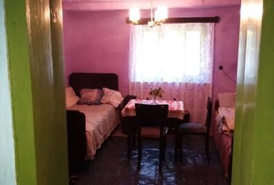 Casă individuală cu 3 camere cu Canalizare în Zerindu Mic - 3