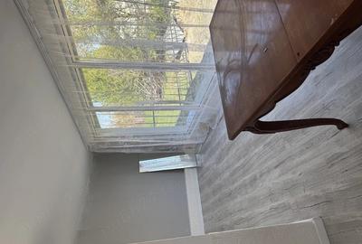 Casă cu 3 camere cu Teren 1454 Mp în Variaș - 4
