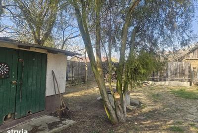 Casă cu 3 camere cu Teren 916 Mp în Sălard - 10