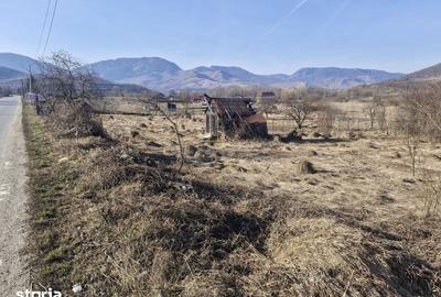 Teren de 2214 mp, în Livezile - 5