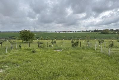 Casă cu Teren 812 Mp în Ciolpani - 2