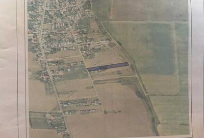 Spațiu comercial, în Glina