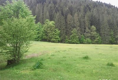 Teren de 5000 mp, în Brateș - 3