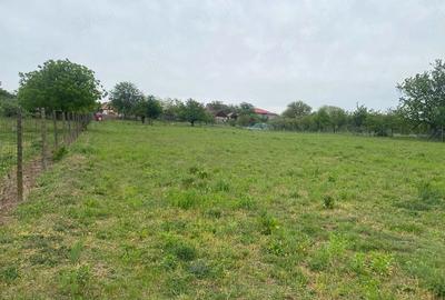 Teren de 4596 mp, în Cetariu - 6