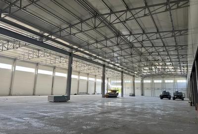 Spațiu industrial, de 1,373 mp, în Baciu - 4