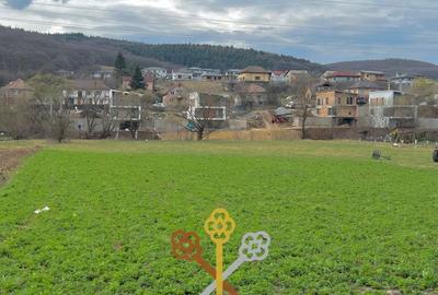 Teren de 2006 mp, în Baciu - 2