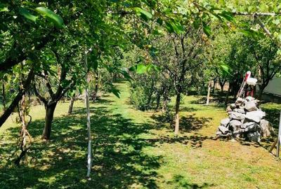 Casă cu 4 camere cu Canalizare în Aurel Vlaicu - 1