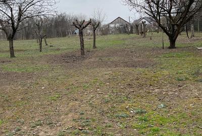 Teren de 1800 mp, în Coșoveni - 3