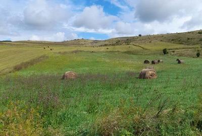 Teren de 5800 mp, în Gădălin - 4