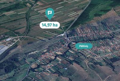 Teren de 151874 mp, în Păltiniș - 4