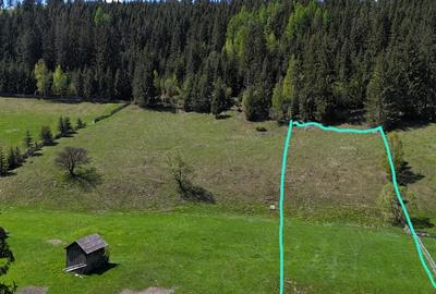Teren de 5350 mp, în Pojorâta - 1