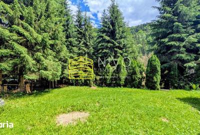 Casă cu 4 camere cu Teren 850 Mp în Lunca - 9