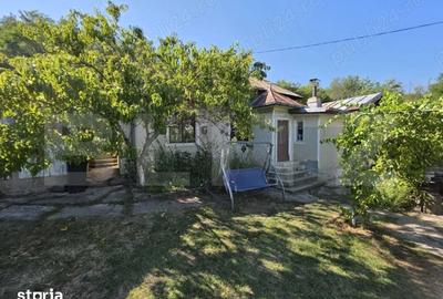 Casă cu 3 camere cu Teren 1820 Mp în Centură - 6