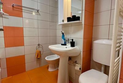 Apartament cu 2 camere semidecomandat, mobilat în Plopilor - 8