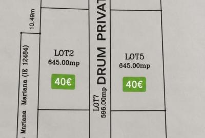 Spațiu comercial, în Albota