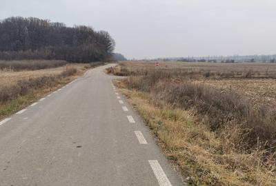 Teren Construcții intravilan de 4550 mp, în Ciolpani - 3